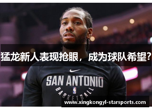 猛龙新人表现抢眼，成为球队希望？