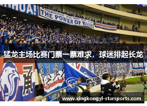 猛龙主场比赛门票一票难求，球迷排起长龙