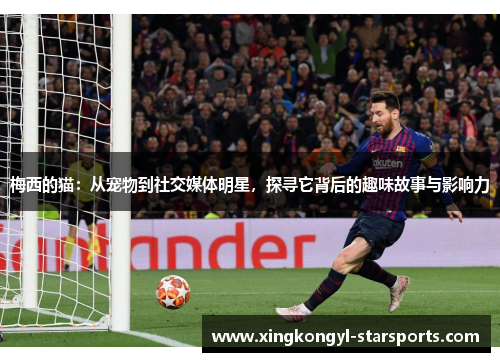 梅西的猫：从宠物到社交媒体明星，探寻它背后的趣味故事与影响力