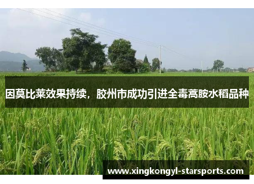 因莫比莱效果持续，胶州市成功引进全毒蒿胺水稻品种