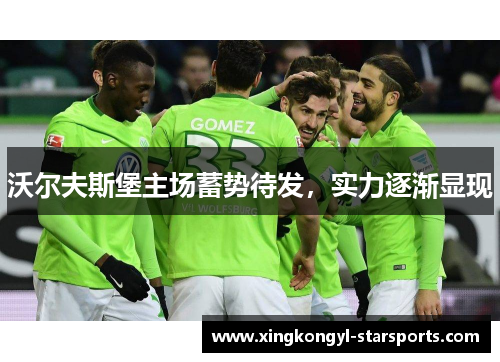 沃尔夫斯堡主场蓄势待发，实力逐渐显现